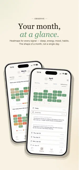 Life OS - Self Observe screenshot 3