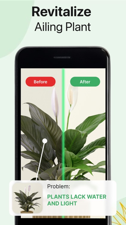 Ai Plant Identifier Tree Weed screenshot-3