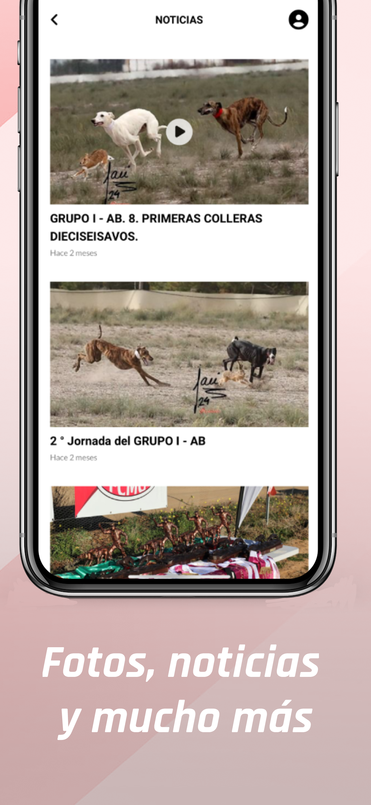 FEDERACIÓN GALGOS CLM screenshot 4
