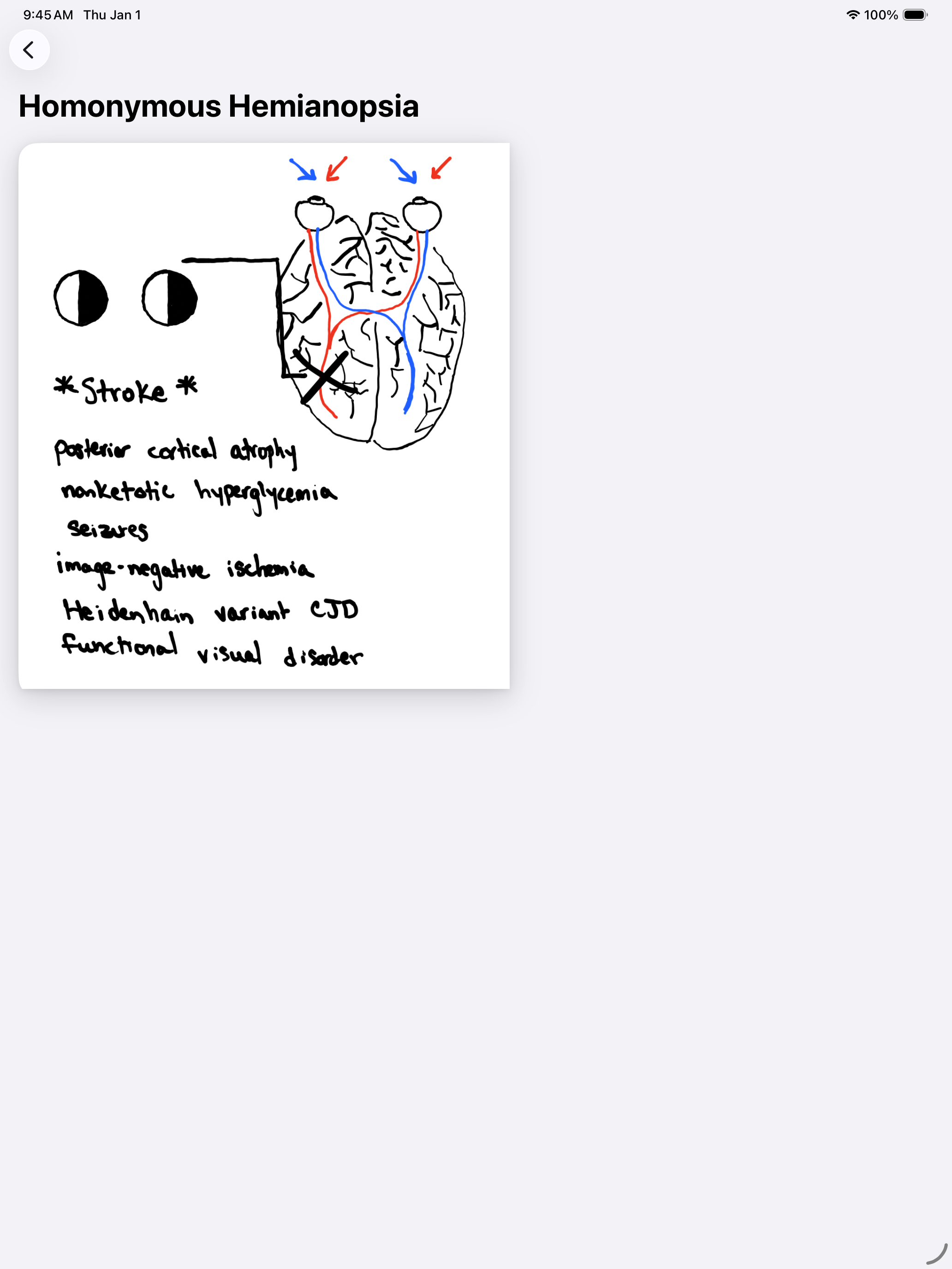 Neurology Frameworks