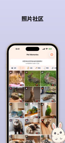 兔子护理 - 宠物照片日记 screenshot