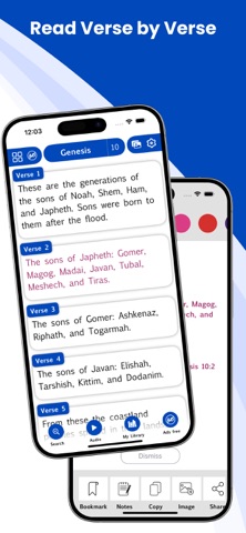 ESV Bible* iPhone screenshot