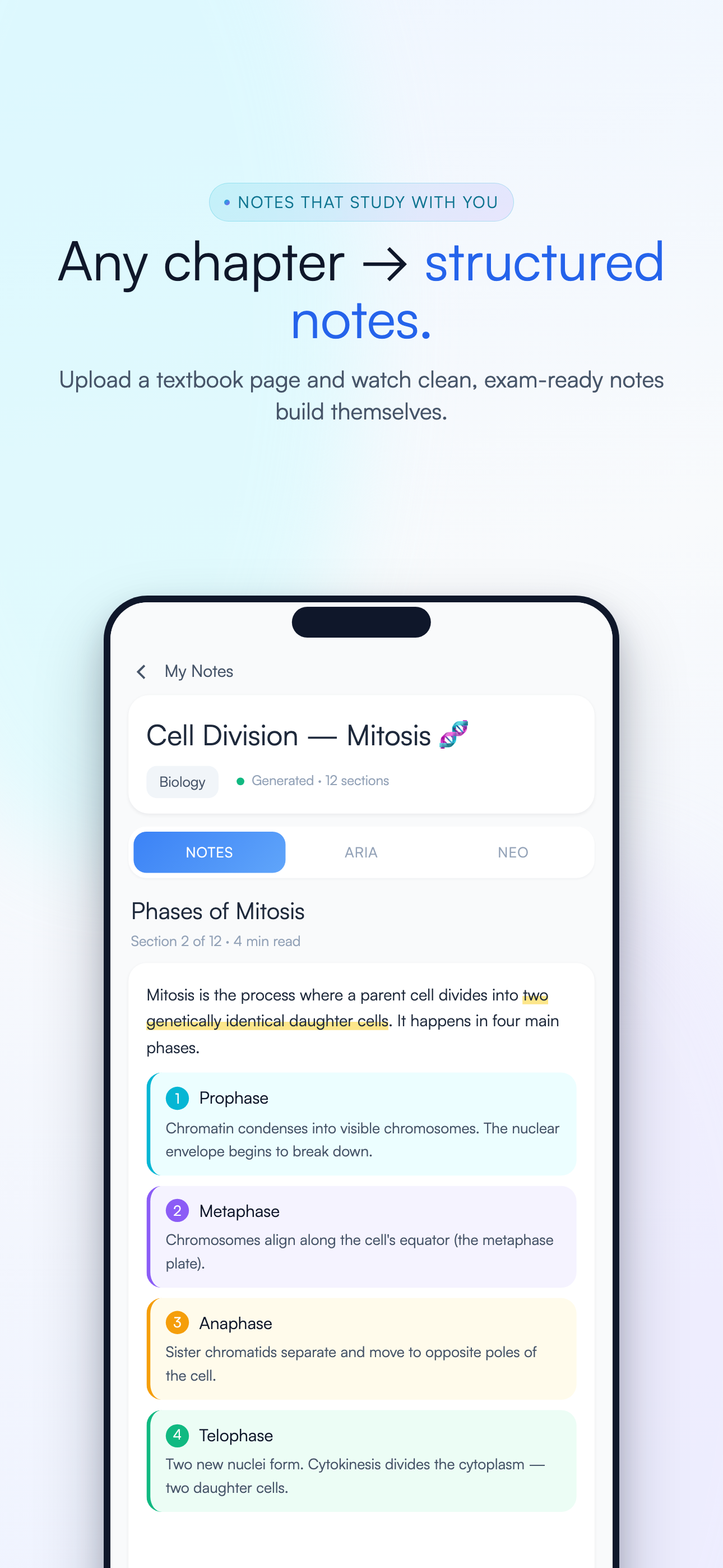 ARIA AI Tutor screenshot 2