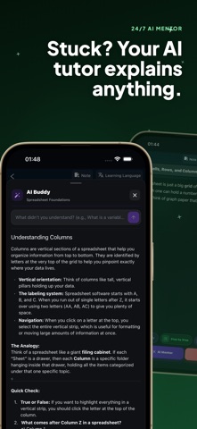 Learn Excel - Formulas Course iPhone screenshot