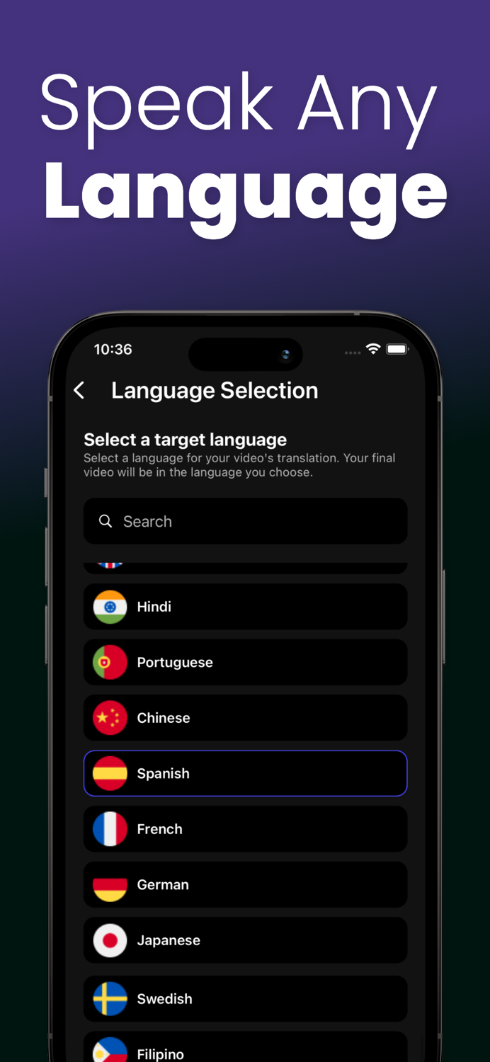 DubMaster AI Video Translator
