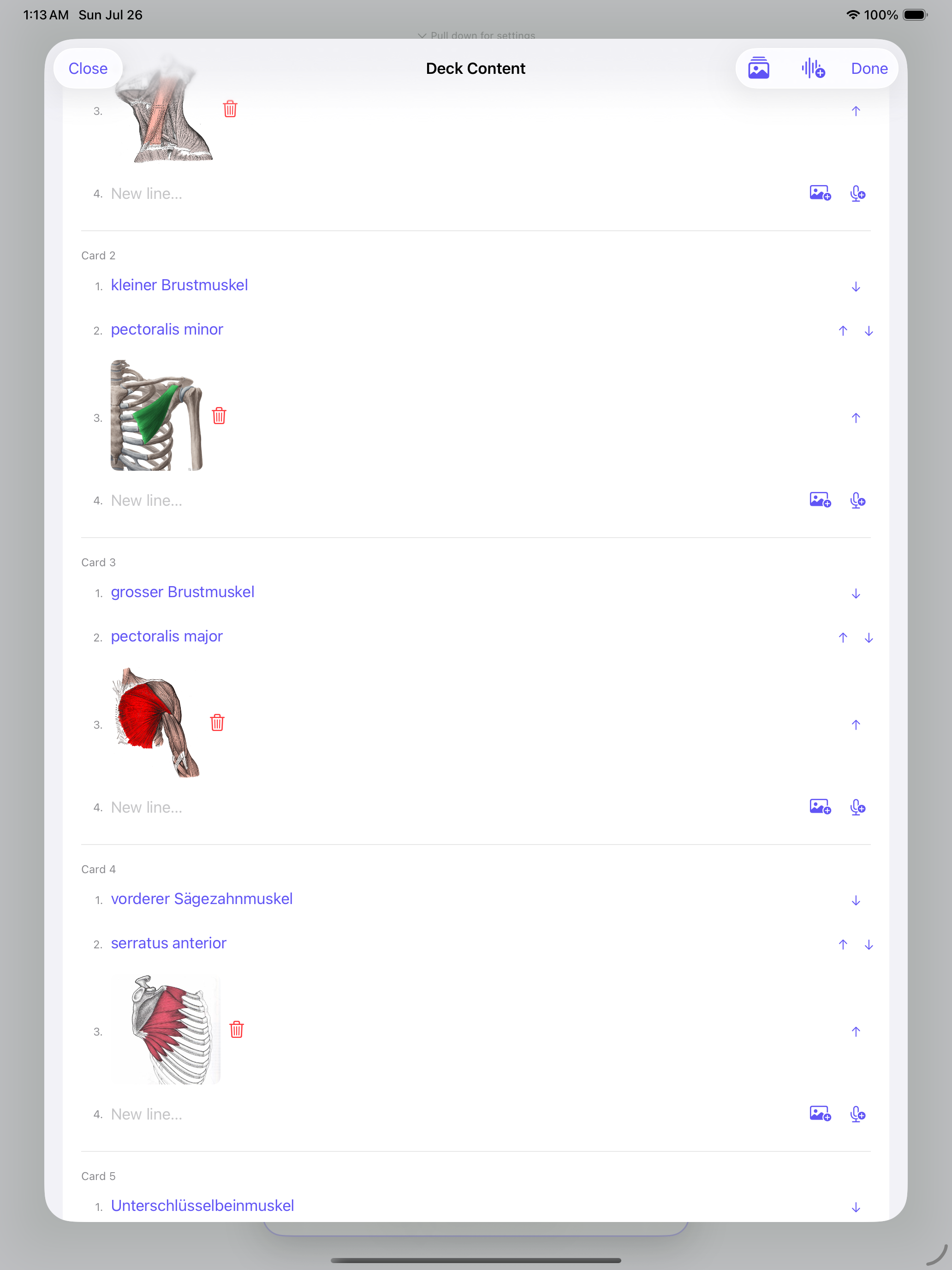 Flashcards - Swipe & Learn screenshot 10