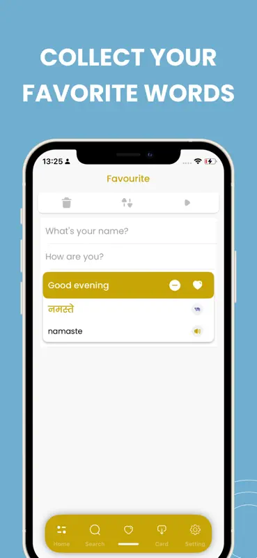 Learn Hindi - Phrasebook screenshot 4 of 4