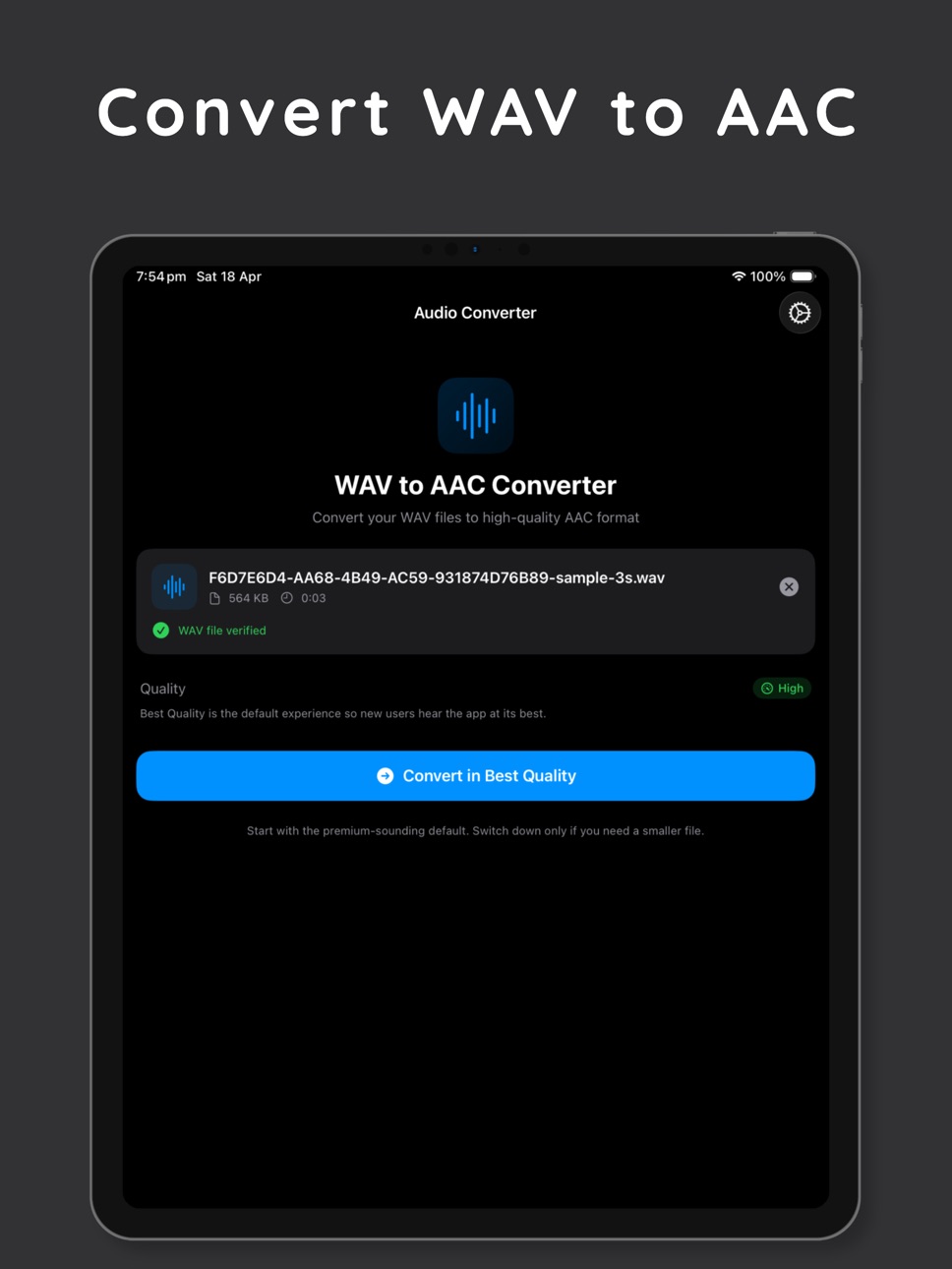 iPad screenshot