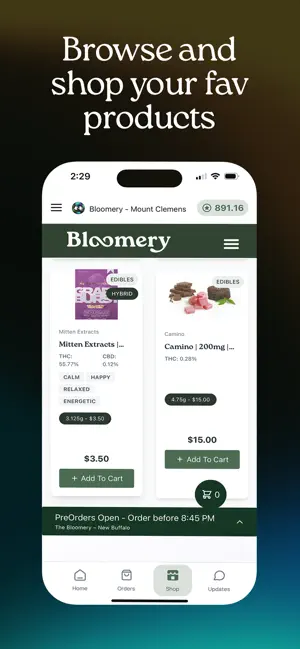 Bloomery screenshot 3