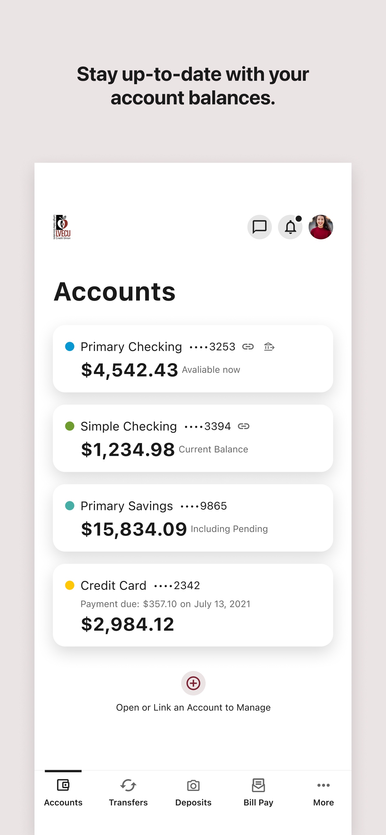 LVECU Mobile Access