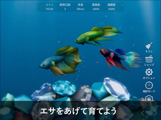 ベタリウム - 癒しの熱帯魚育成のおすすめ画像2