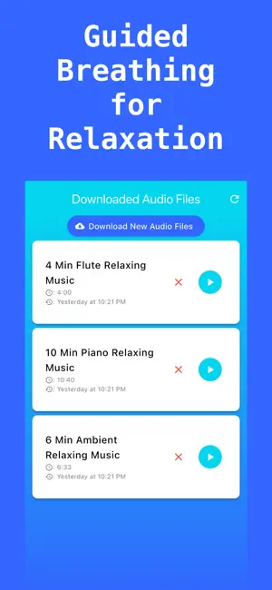 Saral Dhyan: Mindful Breathing screenshot 3