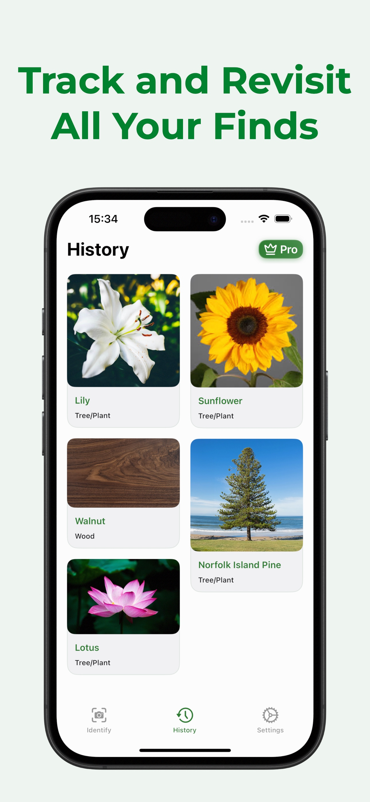 Tree Identifier - WoodBot