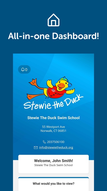 Stewie The Duck Swim School