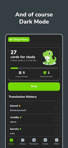 TiLingo: AI-powered flashcards Screenshot 10 of 10