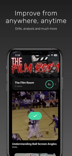 Pro Standard Basketball screenshot 3