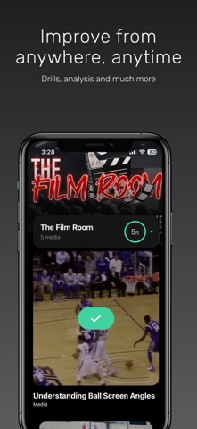 Pro Standard Basketball screenshot