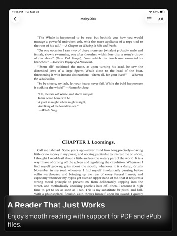 Bookhaven - PDF EPUB Reader iPad screenshot