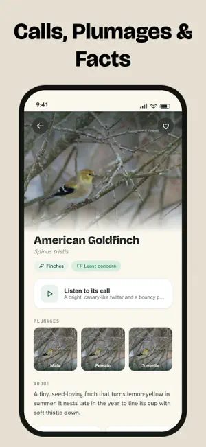 Bird Identifier, Bird Id screenshot 7