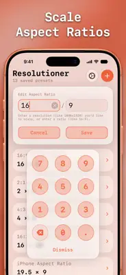 Resolutioner 3