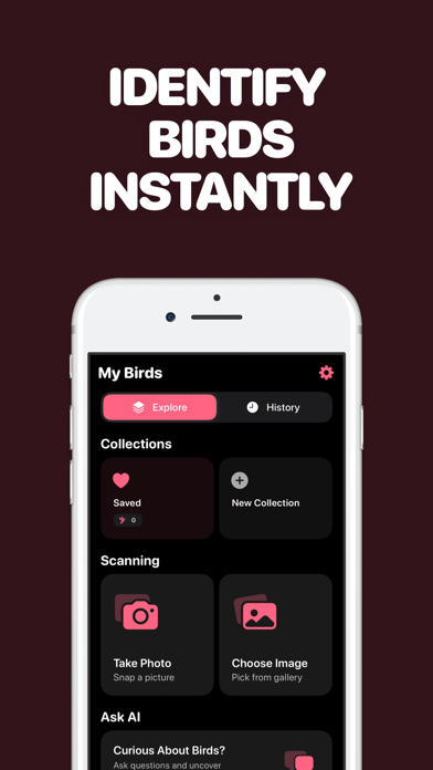 Identify Birds with AI Screenshot