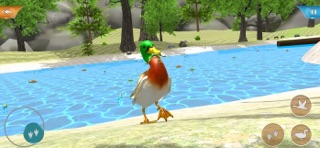Duck Game Bird Simulator Screenshot 3 of 6