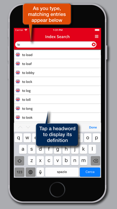 Dizionario dei Phrasal Verbs Screenshot