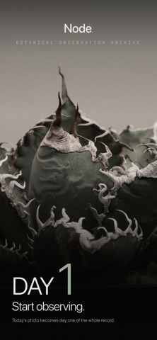 Node. Screenshot 1 of 10