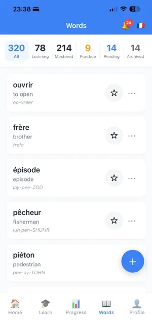 LibLang screenshot 4