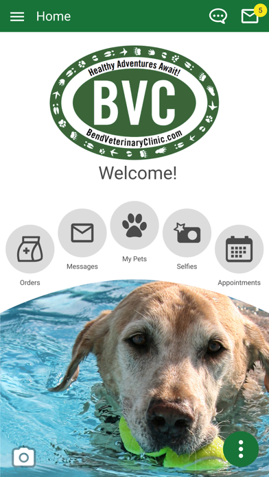 Bend Veterinary Clinic Screenshot