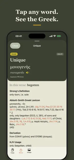 The Pillar Bible Study screenshot 1