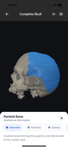 Anterior3D Screenshot 1 of 5
