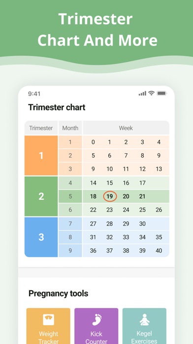 Pregnancy App. Screenshot