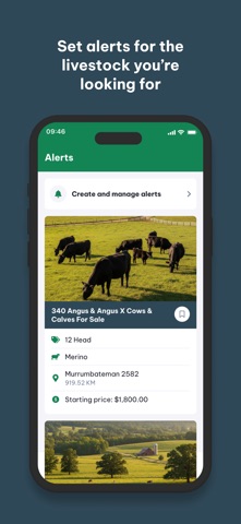 The Herd Screenshot 4 of 5