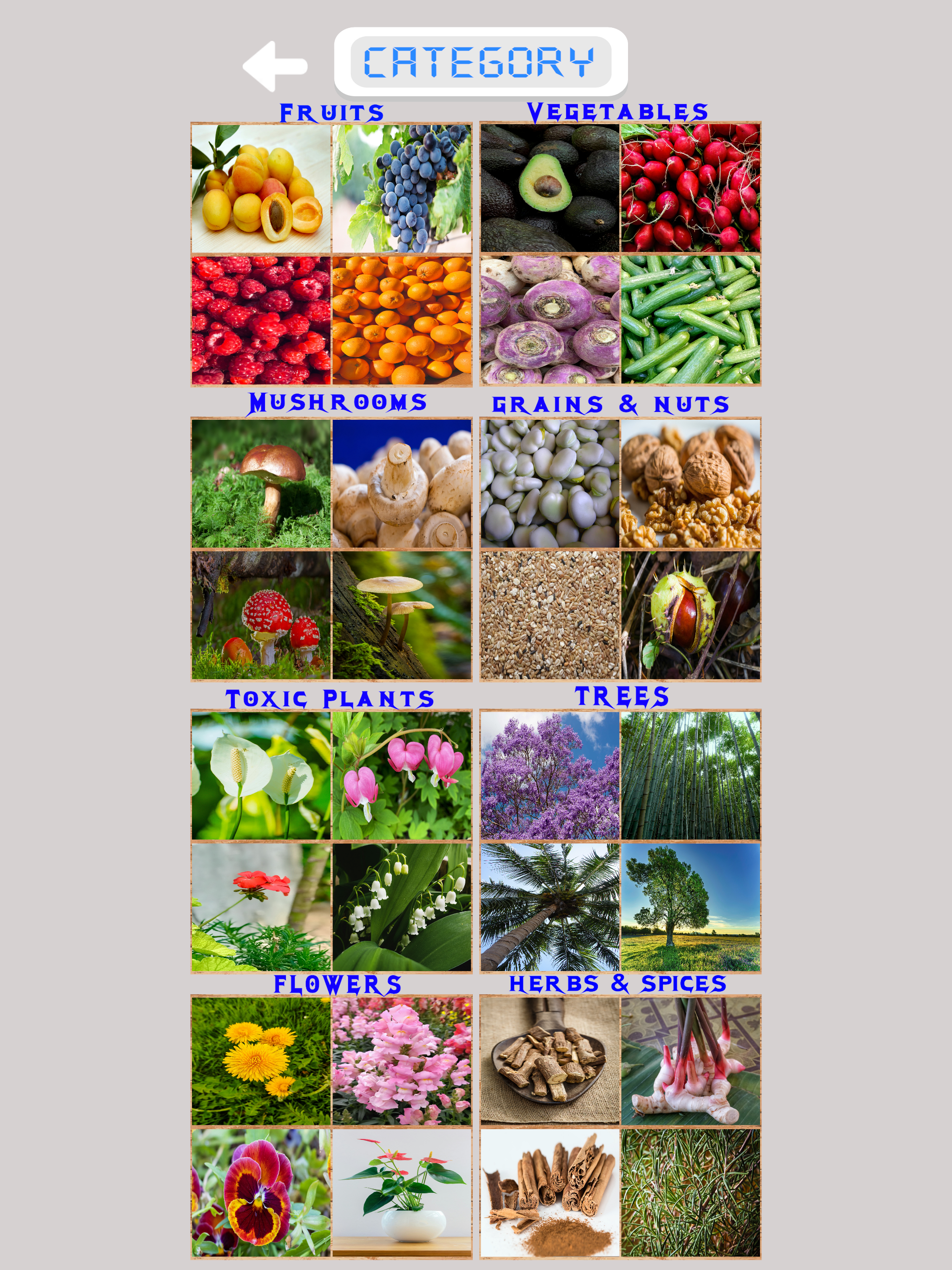Plants Trivia