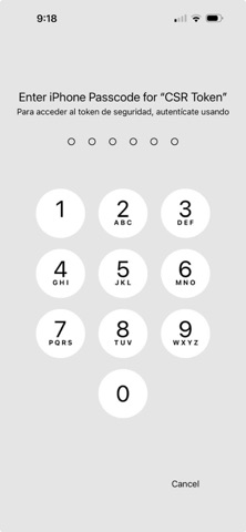 CSR Token screenshot