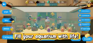 Little Reef world screenshot 1