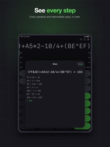 Programmer Calculator: Hex iPad screenshot 3