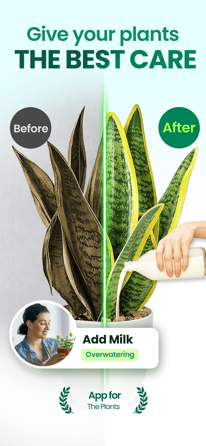 Plant Easy Plants  Garden