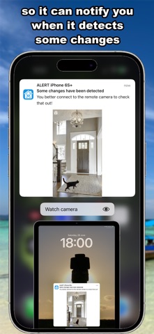 Home Surveillance screenshot