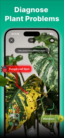 Plant Disease Identifier Bio screenshot