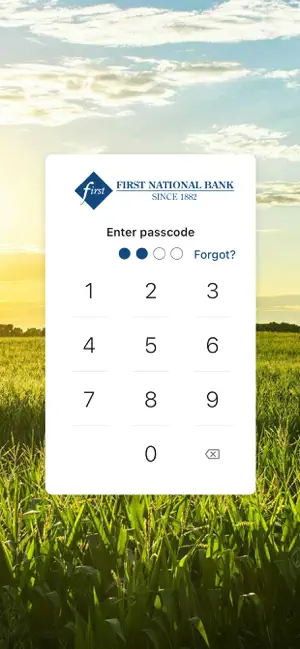 Blue Diamond Banking screenshot 2