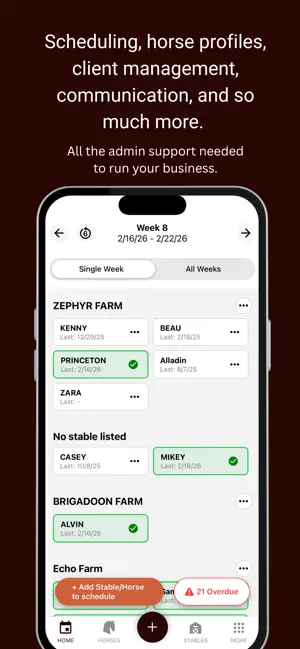 Forelock screenshot 3