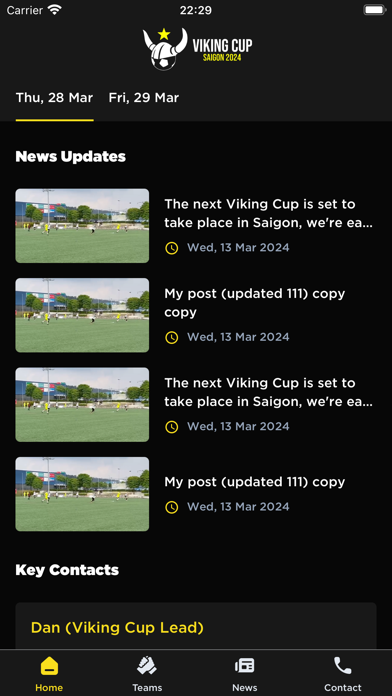 Viking Cup Screenshot