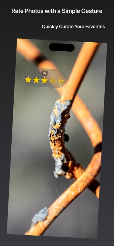 Oak Viewer screenshot 3