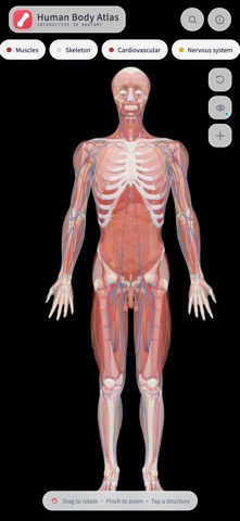 HumanBodyAtlas iPhone screenshot