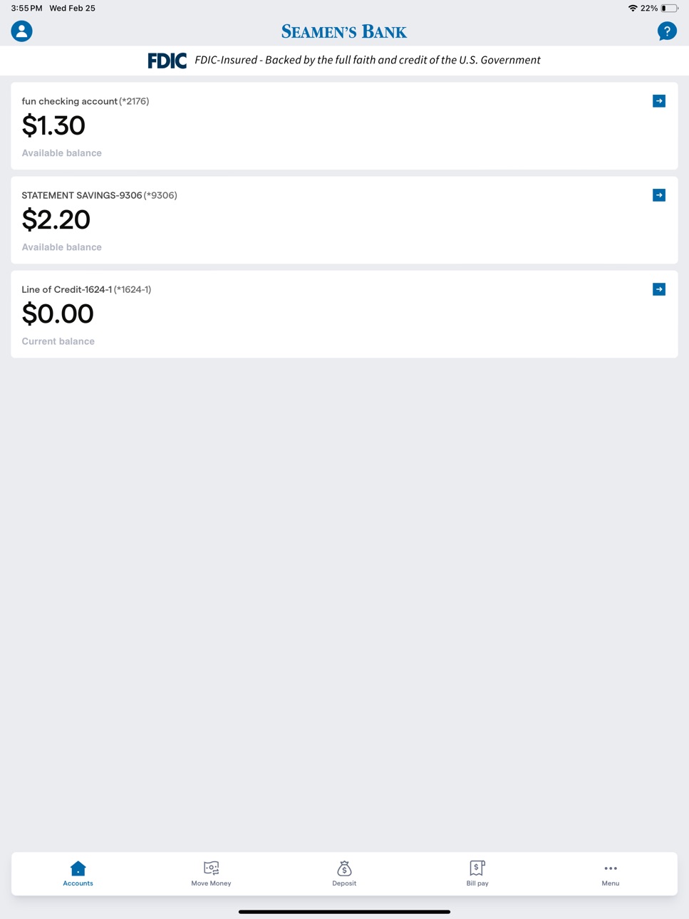 iPad screenshot