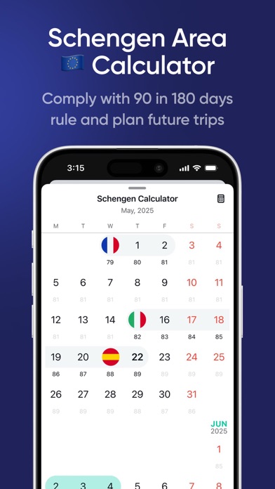 Flamingo – Tax & Visa Tracker Screenshot