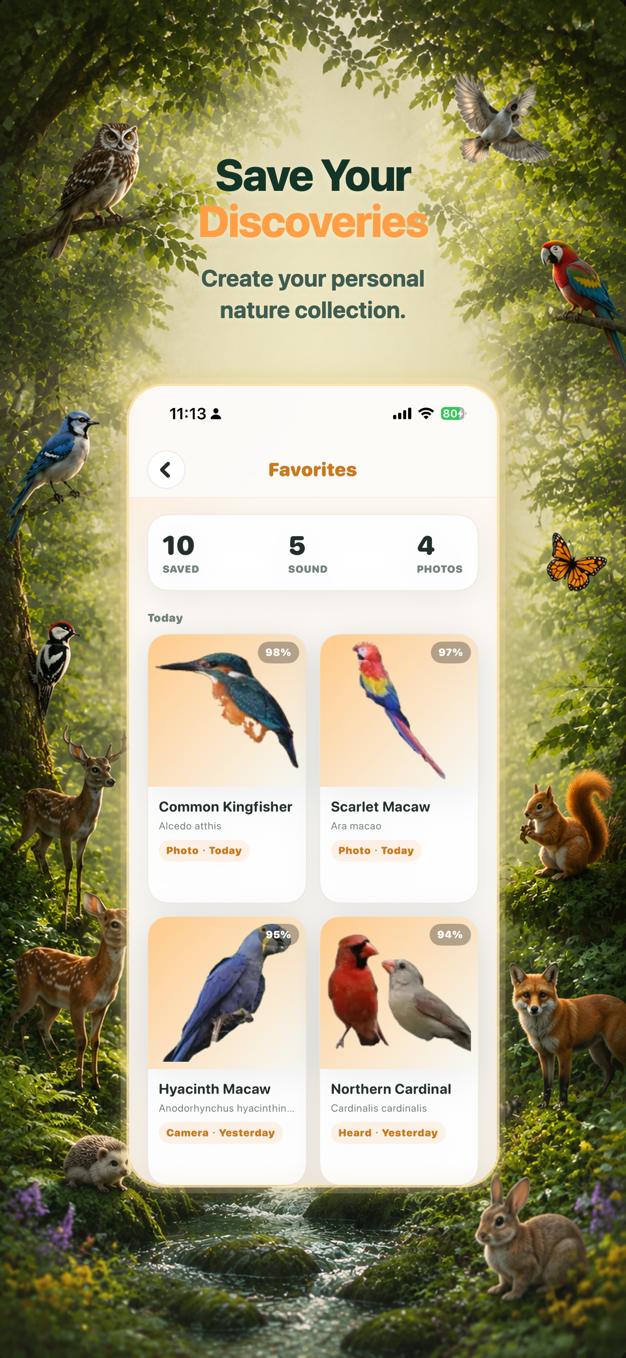 NatureEar - Offline Sound ID screenshot 5