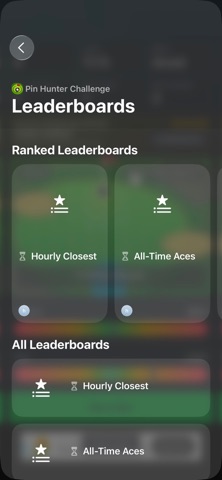 Pin Hunter Challenge screenshot 3